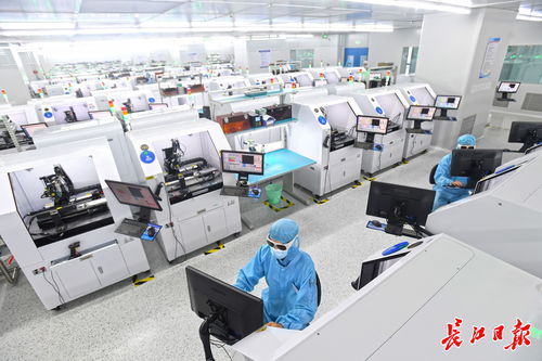 武漢市人民政府門戶網站